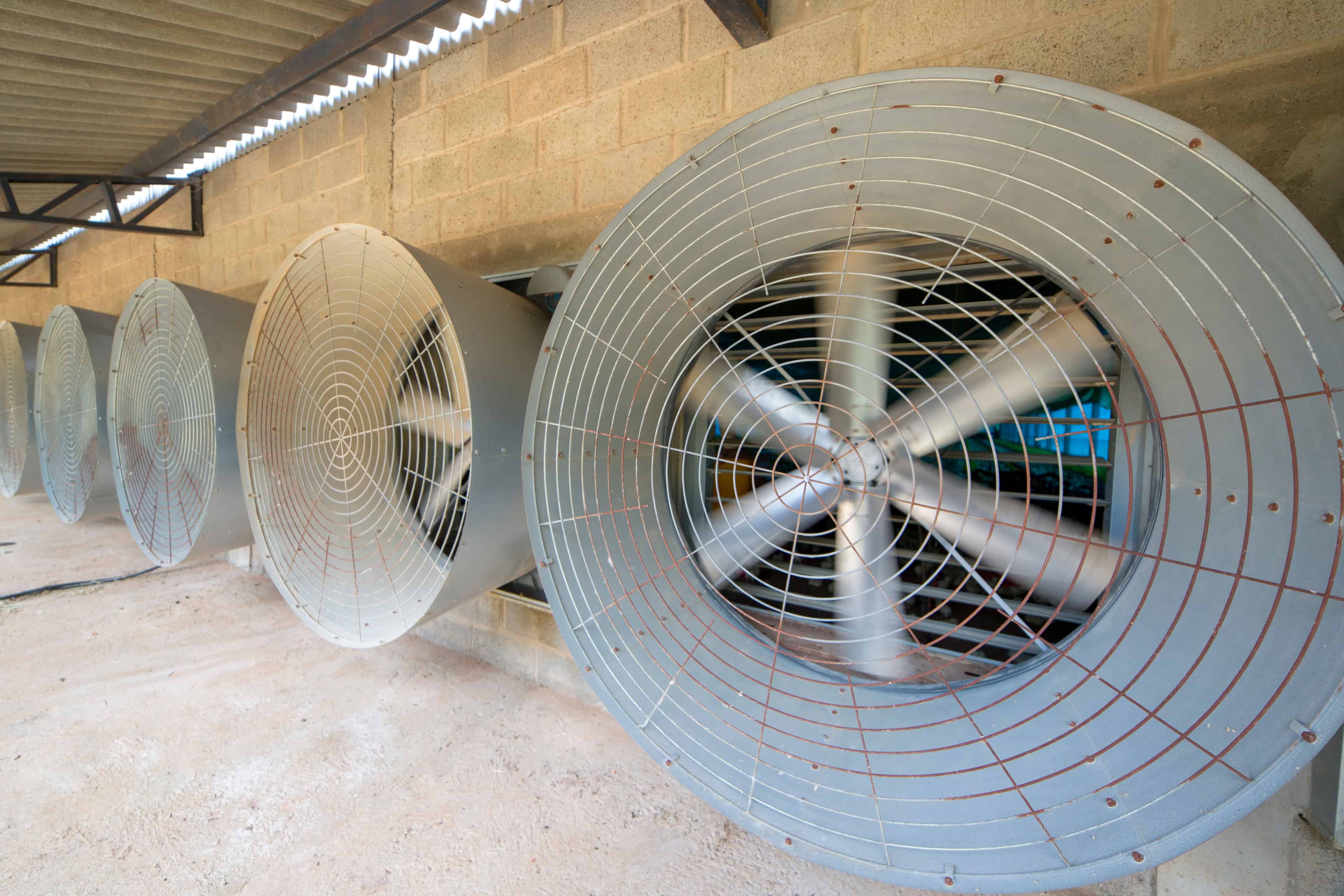 Exhaust Fans image